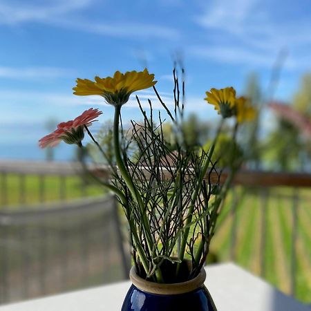 Appartementhotel Roehrenbach 이멘슈타트암보덴지 외부 사진